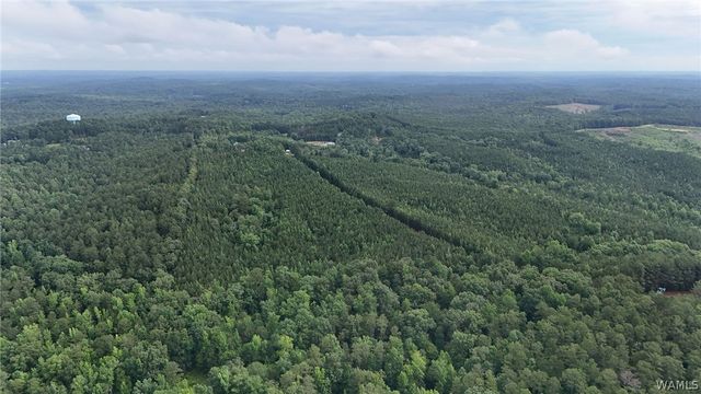 0 Skyview, Cottondale, AL 35453