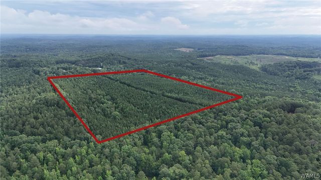 0 Skyview, Cottondale, AL 35453