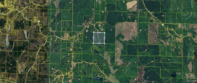 0 Skyview, Cottondale, AL 35453