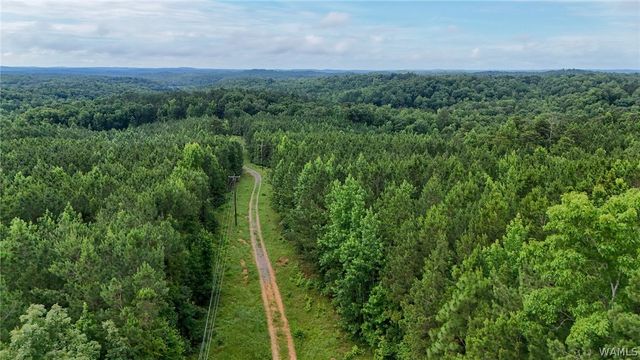 0 Skyview, Cottondale, AL 35453