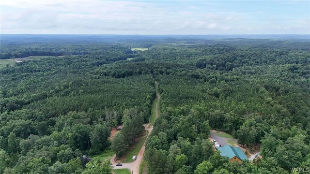 0 Skyview, Cottondale, AL 35453