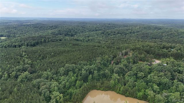 0 Skyview, Cottondale, AL 35453