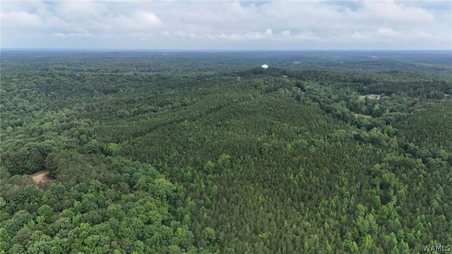 0 Skyview, Cottondale, AL 35453