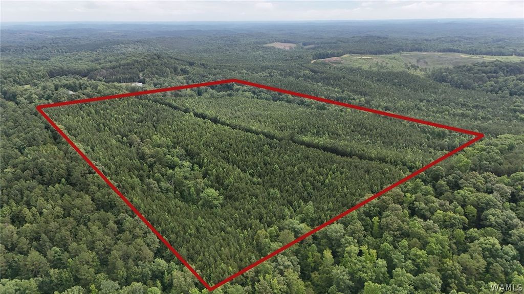 0 Skyview, Cottondale, AL 35453