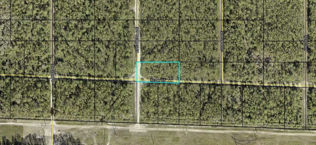 0000 Kirchherr Ave, Hastings, FL 32145