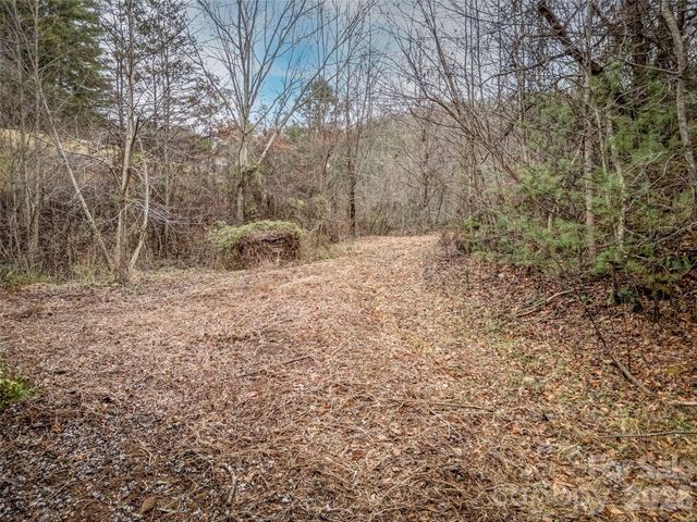 896 Newfound Road, Leicester, NC 28748