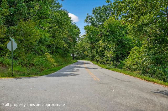 Tbd Buttermilk Spring Road, Galena, MO 65656