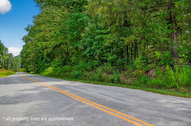 Tbd Buttermilk Spring Road, Galena, MO 65656