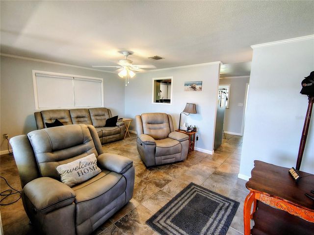 664 CR 467, Lake Panasoffkee, FL 33538