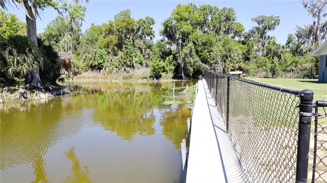 664 CR 467, Lake Panasoffkee, FL 33538