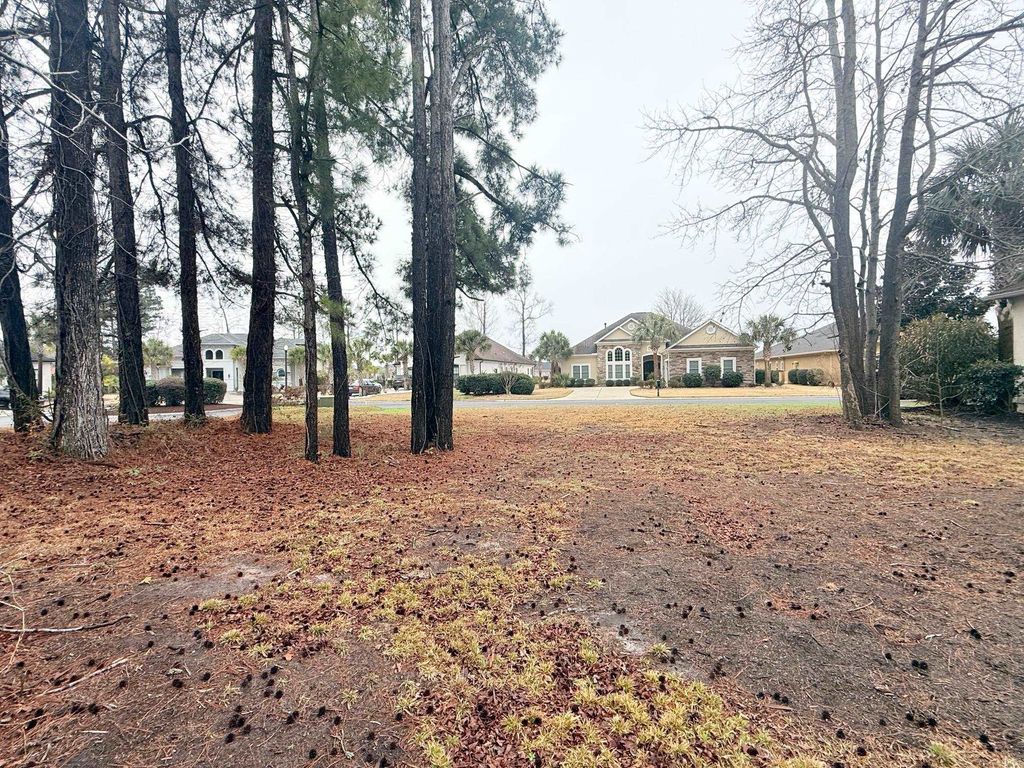 8012 Bird Key Ct., Myrtle Beach, SC 29579 — photo 3