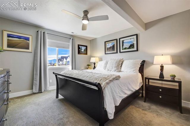 2067 Zenato Court, Colorado Springs, CO 80921