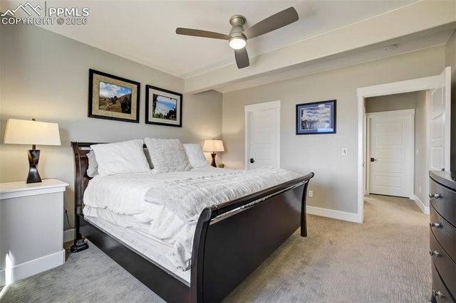 2067 Zenato Court, Colorado Springs, CO 80921