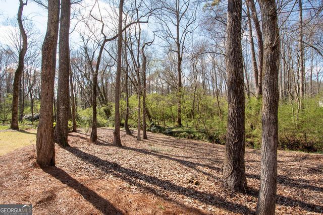 100 Spring Forest Trail, Sharpsburg, GA 30277