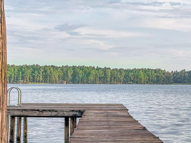 14710 COLOMA LANE, Odessa, FL 33556