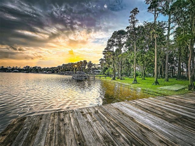 14710 COLOMA LANE, Odessa, FL 33556