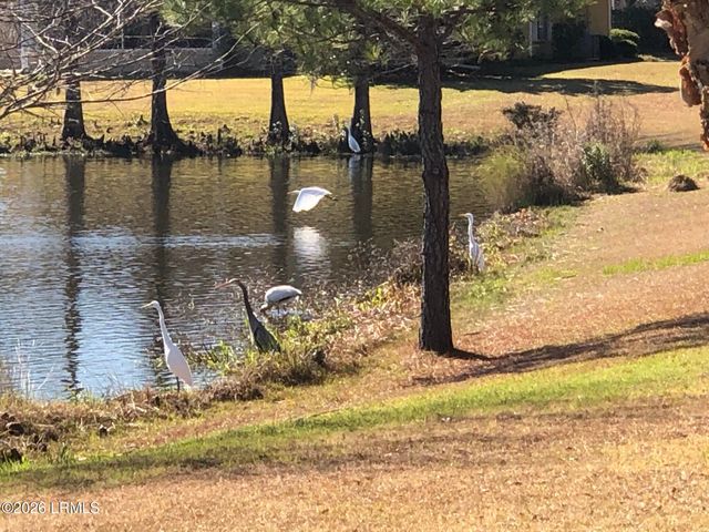 4 Seburn Drive, Bluffton, SC 29909