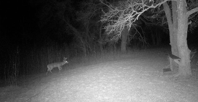 510 Old Sawmill Road, Axtell, TX 76624