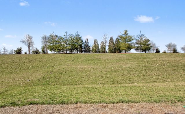 817 Clay Pl, Spring Hill, TN 37174