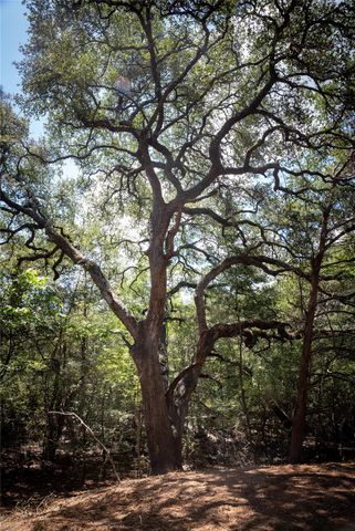 0 Cedar Hill Road, Brenham, TX 77833