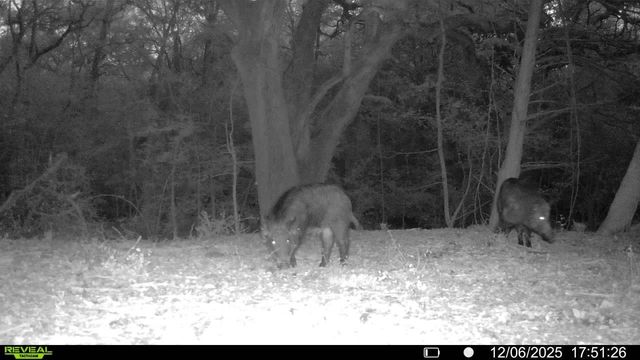 0 Cedar Hill Road, Brenham, TX 77833