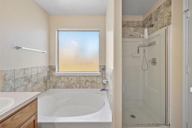 19022 Wild Yaupon Drive, Cypress, TX 77433