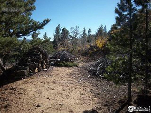 11717 Coal Creek Heights Dr, Golden, CO 80403