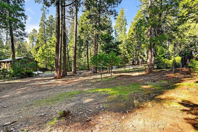 26151 Buckhorn Ridge Rd, Pioneer, CA 95666