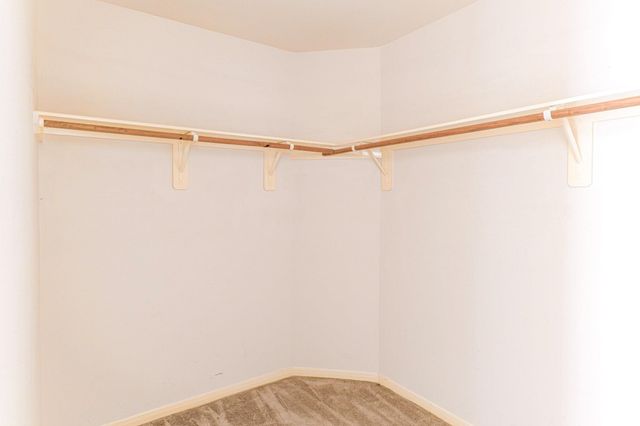 24642 Cornell Park Lane, Katy, TX 77494