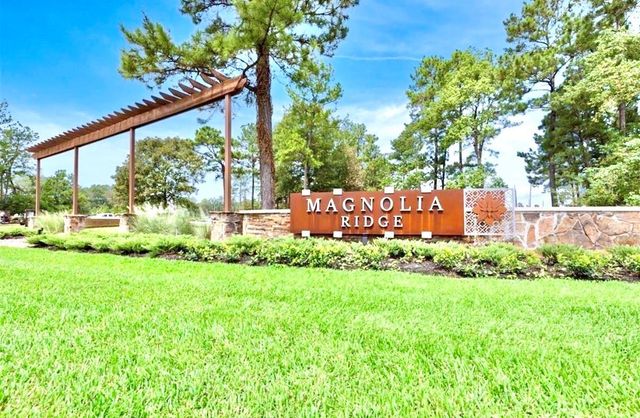 611 Spring Ashberry Court, Magnolia, TX 77354
