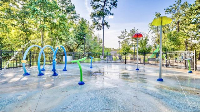 611 Spring Ashberry Court, Magnolia, TX 77354