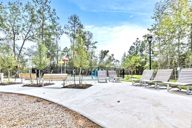 611 Spring Ashberry Court, Magnolia, TX 77354