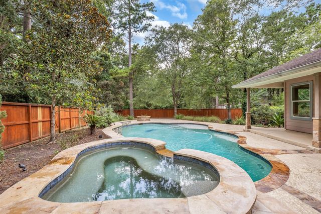 43 Hermit Thrush Place, The Woodlands, TX 77382