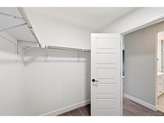 17366 Hop Clover Ave, Parker, CO 80134