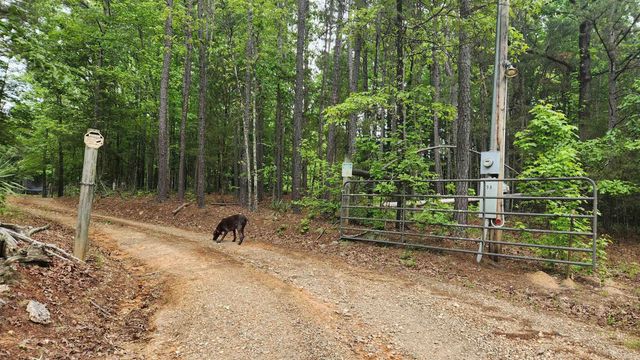 598 Ryan Road, Oden, AR 71961