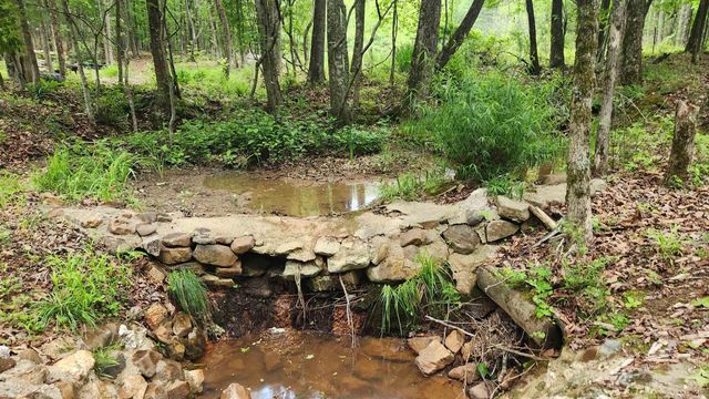 598 Ryan Road, Oden, AR 71961