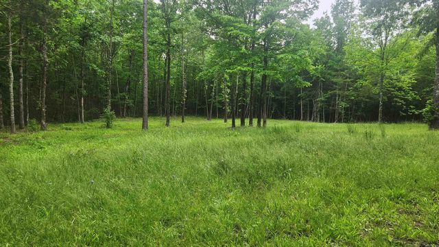 598 Ryan Road, Oden, AR 71961