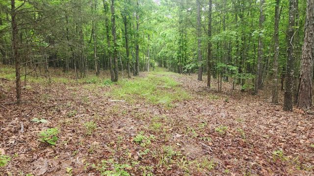 598 Ryan Road, Oden, AR 71961
