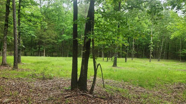 598 Ryan Road, Oden, AR 71961