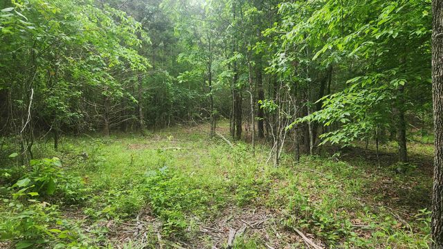 598 Ryan Road, Oden, AR 71961