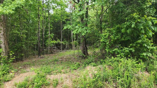 598 Ryan Road, Oden, AR 71961