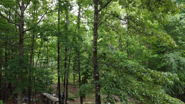 598 Ryan Road, Oden, AR 71961