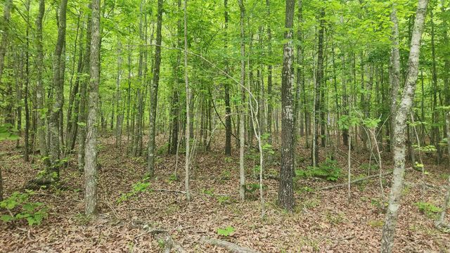 598 Ryan Road, Oden, AR 71961