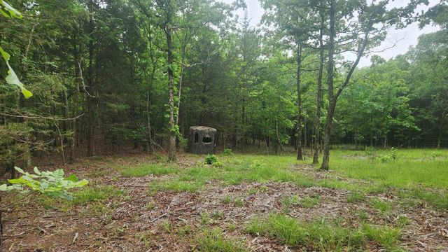 598 Ryan Road, Oden, AR 71961