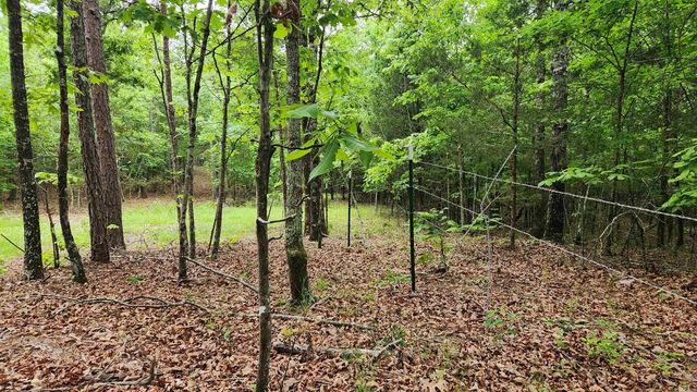 598 Ryan Road, Oden, AR 71961