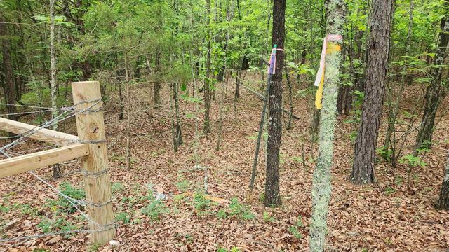 598 Ryan Road, Oden, AR 71961