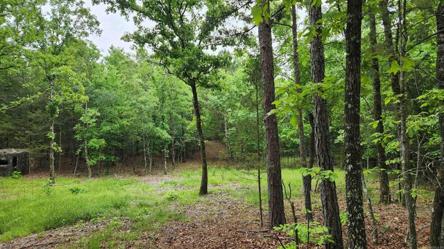 598 Ryan Road, Oden, AR 71961