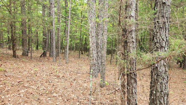 598 Ryan Road, Oden, AR 71961