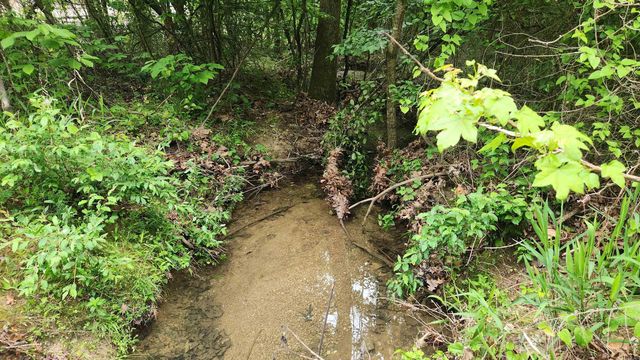 598 Ryan Road, Oden, AR 71961