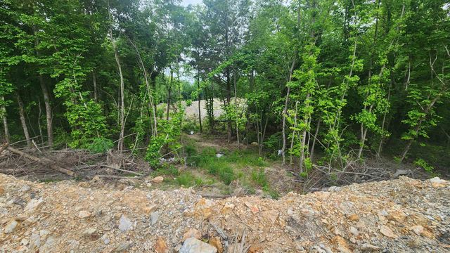 598 Ryan Road, Oden, AR 71961